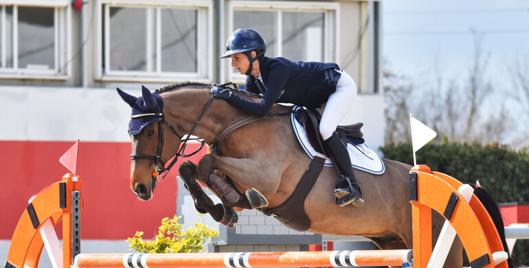 Game-changing technology in horse bits: Winderen Gel Bits System