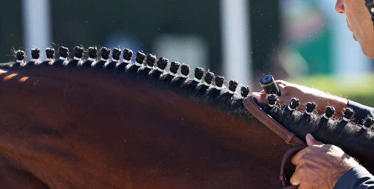 Organisers from three continents send bids for Longines League of NationsTM qualifiers and final