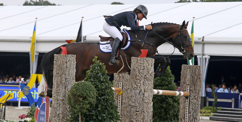 27 showjumping stallions approved by the BWP