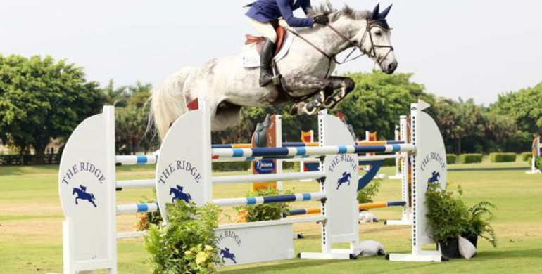 Conor Swail swoops in to steal $24,990 Ridge at Wellington Turf Tour Grand Prix Finale