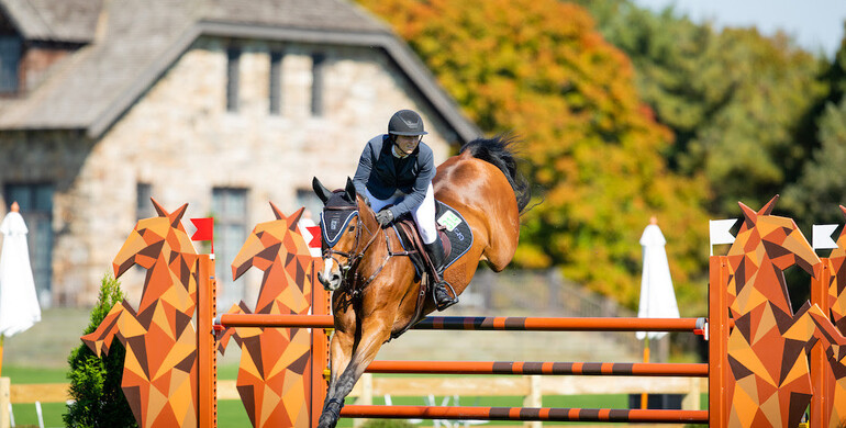 Sternlicht experiments with CSI3* speed 1.55m win at CSI Greenwich