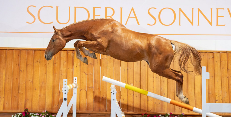 The most exciting auction of the autumn season is about to begin