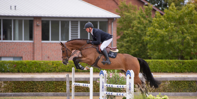 Holsteiner Elite Auction on 5 November: Highly talented Holsteiners from world champion families