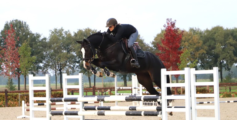 Talented youngsters in Dutch Horse Trading October Auction