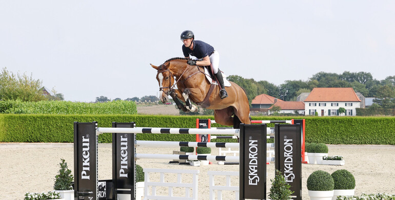 Holger Hetzel Sport Horse Sales presents: Chapeau