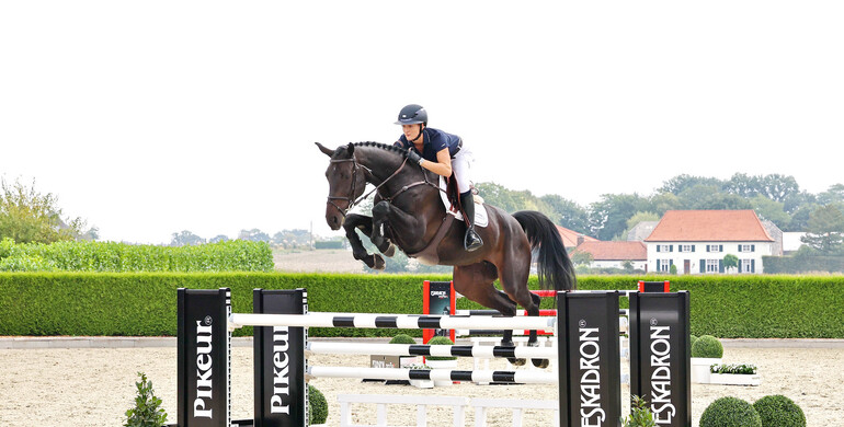 Holger Hetzel Sport Horse Sales presents: Lady in Black