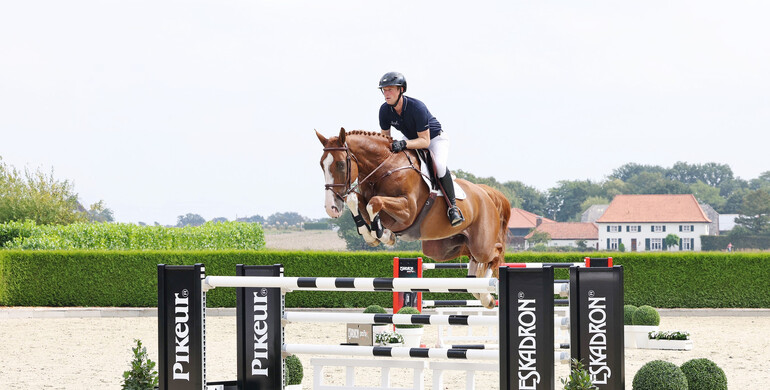 Holger Hetzel Sport Horse Sales presents: Major Tom