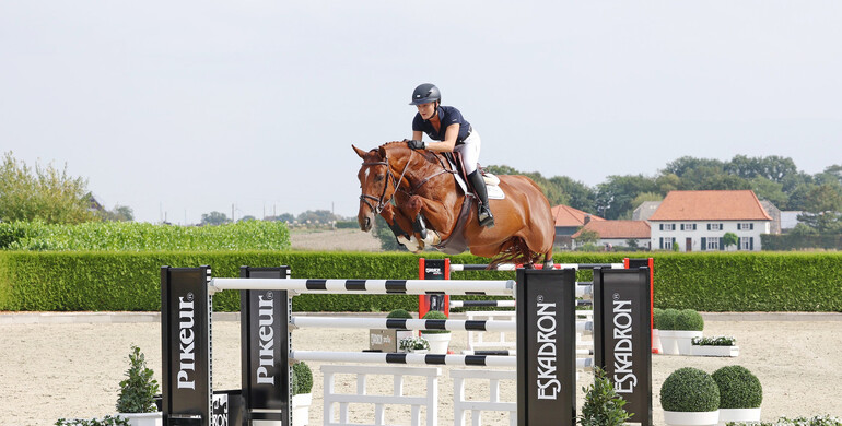 Holger Hetzel Sport Horse Sales presents: Wonder Woman