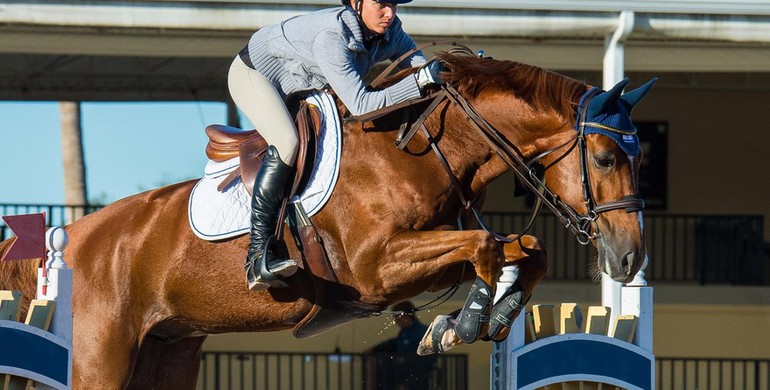 New talent for Daniel Bluman
