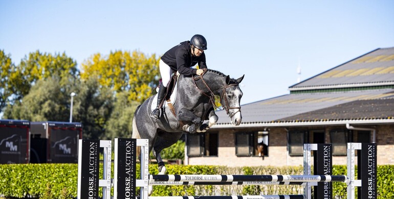 28th Youhorse.auction: From hunters to Grand Prix prospects