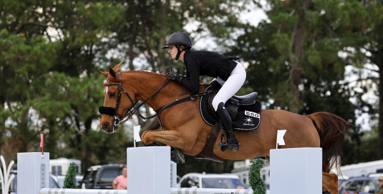 Charlotte Jacobs and Rincoola Milsean back on top with $100,000 Lugano Diamonds Grand Prix CSI2* win at Split Rock Aiken