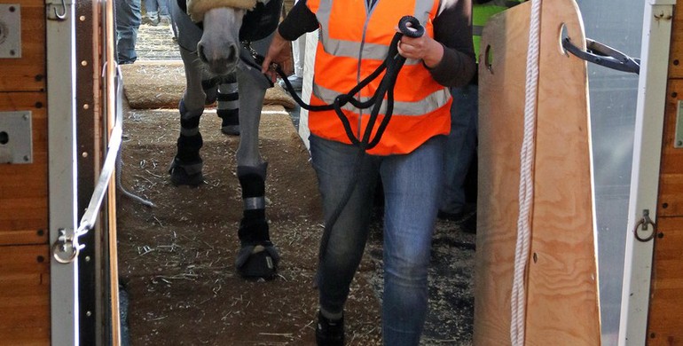 Images | The horses touch down in Las Vegas - part one