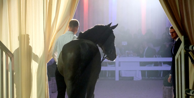 17th International Sport Horse Sales: An auction evening with plenty of surprises