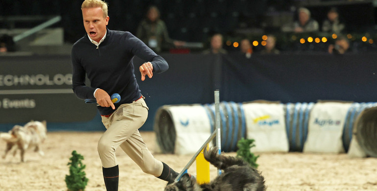 Agility at Sweden International Horse Show: Belgium vs. Sweden