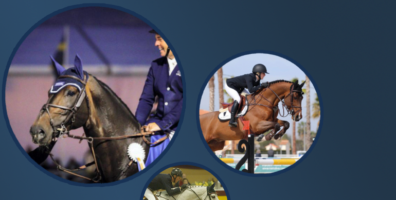 Implanted embryos are still a worthwhile investment with an average 12% return of investment
