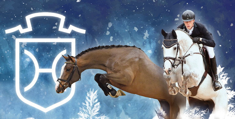 Holsteiner Winter-Chance: Auction in a festive mood