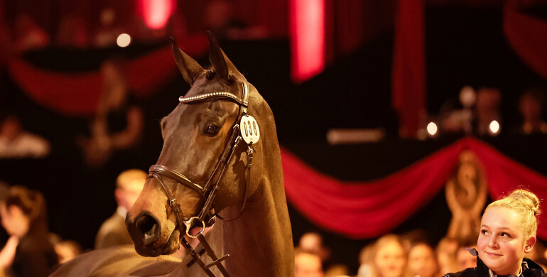 43rd P.S.I. Auction: The 6-year-old Chyazint jumps into the record books with top price of 4 million Euros