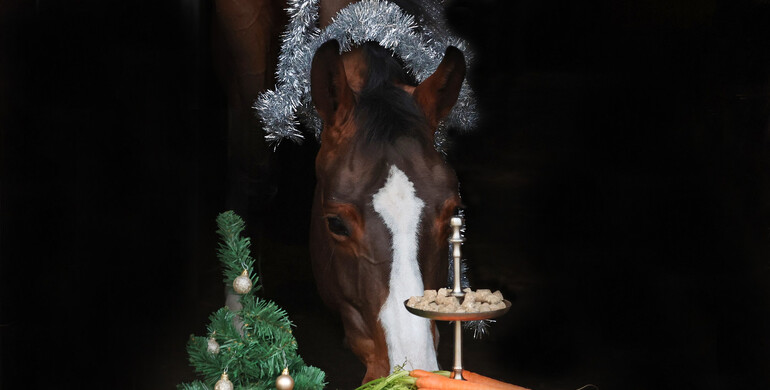 Merry Christmas!