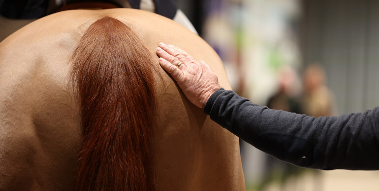 FEI creates new reporting mechanism to amplify the voice of grooms