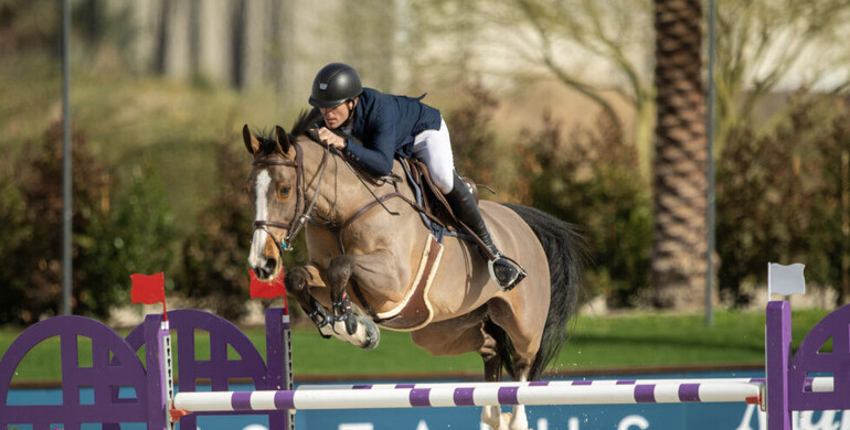 Gregory Wathelet wins the day at Desert International Horse Park