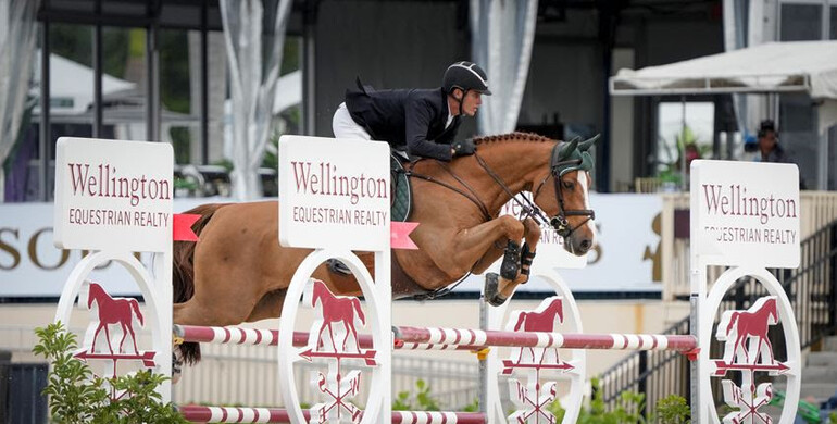 Tanner Korotkin and Quinn have wings in Wellington Equestrian Realty CSI3* 1.45m Speed