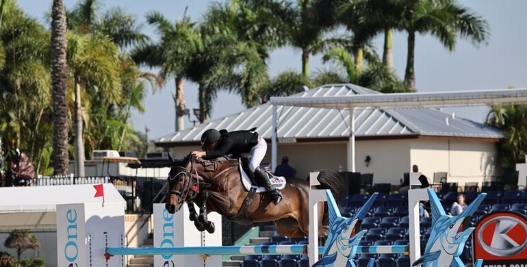 Jad Dana ends WEF 1 on a win