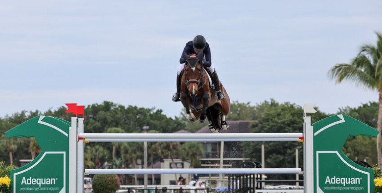 No worries for Akuna Mattata in Adequan® WEF Challenge Cup