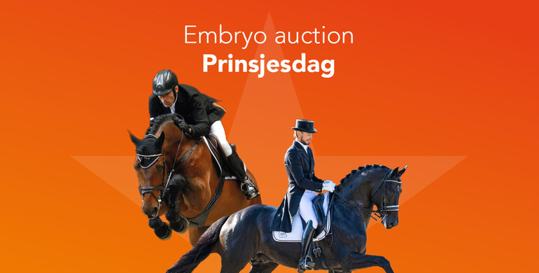 Top jumping and dressage genetics in Embryo Auction Prinsjesdag