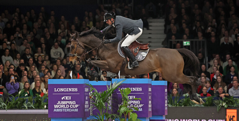 Donatello d'Auge tops the WBFSH Breeder Ranking for a second month