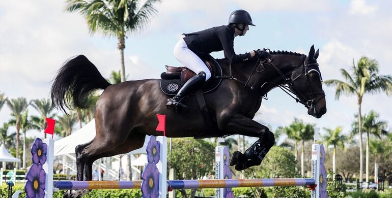 Dean and Dotcom d’Authuit dazzle in Wellington Equestrian Realty CSI4* Speed