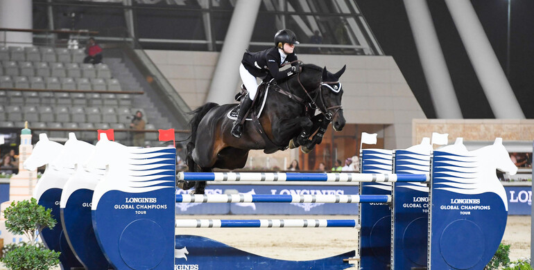 Copain Du Perchet CH retires to stand with Stallion AI Services, UK