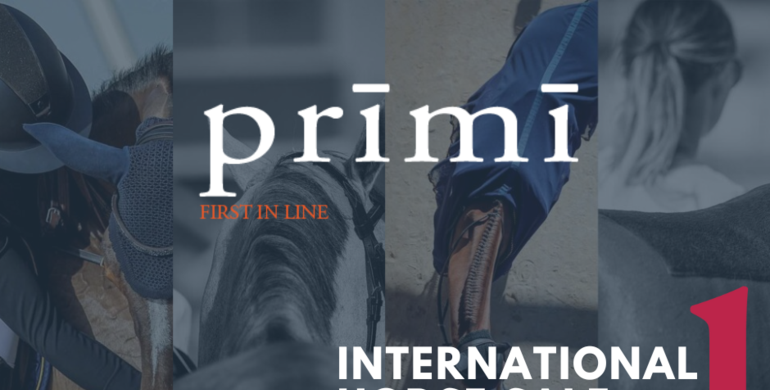 New international horse sale event: Prīmī - First in Line