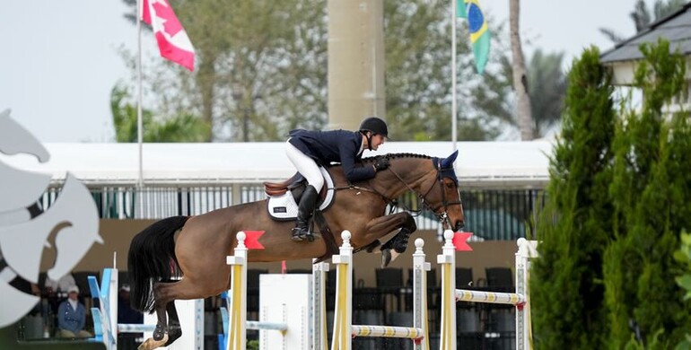 Mclain Ward two-for-two at Wellington International