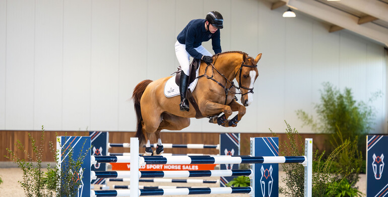 Redfield Farm, Stal Hendrix and Andre Thieme organize the first sport horse auction at the WEC Ocala FL