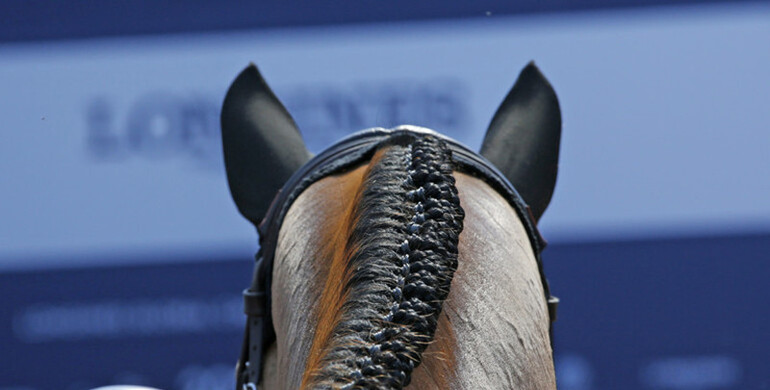 Grooms online survey: What needs to change for the grooming industry to be sustainable?