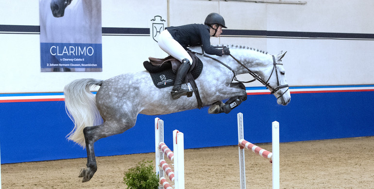 Holsteiner Spring Auction Sale on 25 March: Valuable bloodlines and sport results