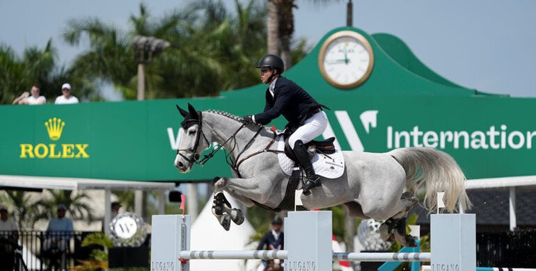 Shane Sweetnam dominates Bainbridge CSI5* 1.45m