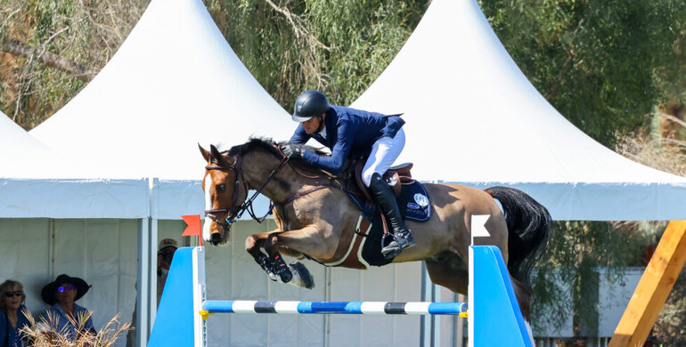 Gregory Wathelet drives away with $145,100 Go Rentals CSI3* Grand Prix win