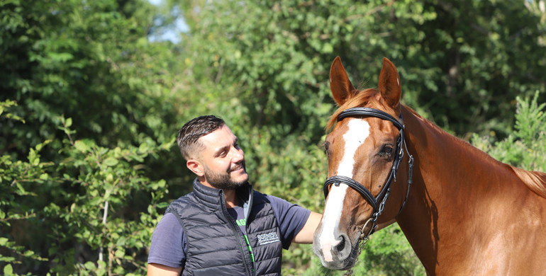 25 mares now available from Genesis Horse Breeding, the new reassuring framework for lovers of top-of-the-range breeding