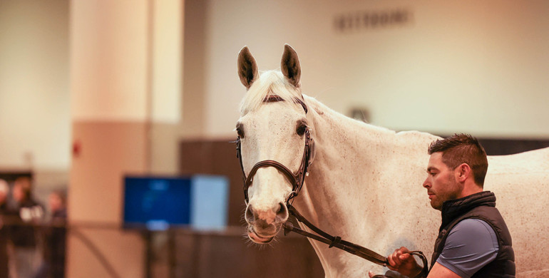 Jumpers strut their stuff ahead of big week in Omaha