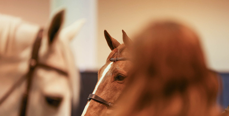 The Longines FEI Jumping World Cup™ Final 2023 trot-up in images