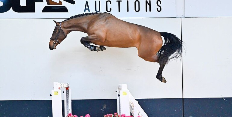 Unrivaled quality in April edition of SLF Auction