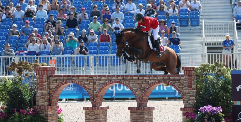 Tops Stallions offers fresh semen from world-class Bacardi VDL & Cinsey
