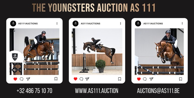 Top quality showjumpers in the first AS111 Auction