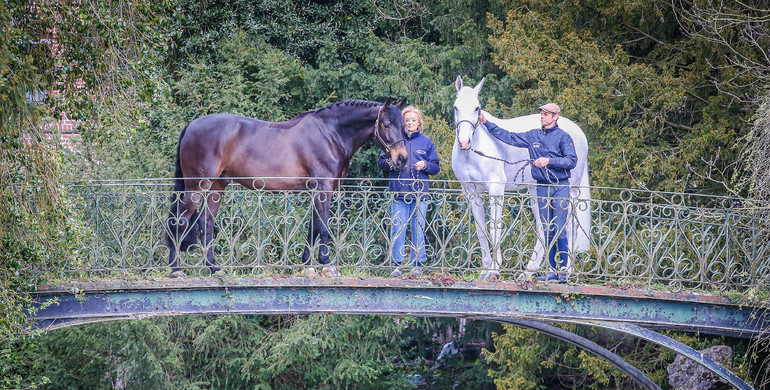 Mury Marais Auction, a passion for the sport