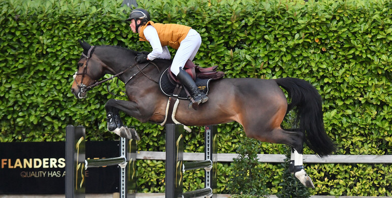 Two junior riders offer an amazing collection in their first Flanders Sales Auction!