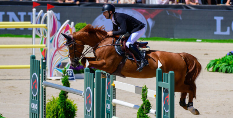 Pieter Devos and Jarina J best in the Championship of Rotterdam