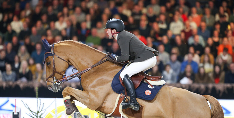 Élevage de Will Auction: Discover an extraordinary collection with outstanding genetics