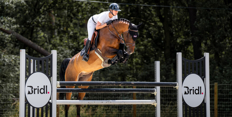BRIDL Auction: The gold standard of transparent and exclusive equine auctions