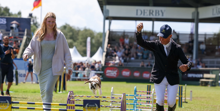 Sweden vs. USA in Falsterbo's traditional rabbit jumping